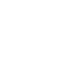 Youtube youtube-logo-white
